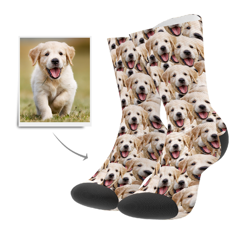 Photo Socks, Customized Face Mash Dog Socks